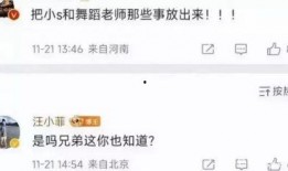 山东大瓜爆料视频播放,揭秘幕后真相，引发网友热议